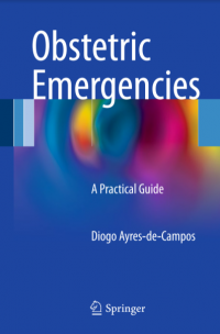 Image of Obstetric Emergencies A Practical Guide (Ebook)