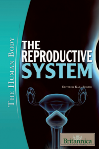 Image of The Reproductive System